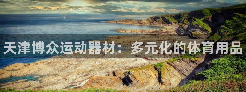 征途国际平台是正规平台吗知乎:天津博众运动器材:多元化的体育