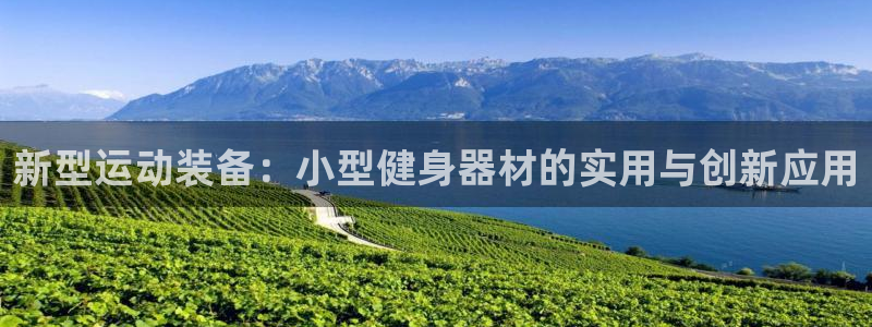 征途国际五金厂:新型运动装备:小型健身器材的实用与创新应用