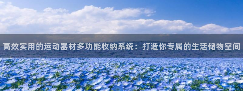 征途国际注册:高效实用的运动器材多功能收纳系统:打造你专属的