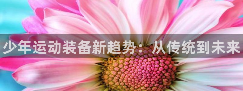 征途国际平台注册要钱吗:少年运动装备新趋势:从传统到未来