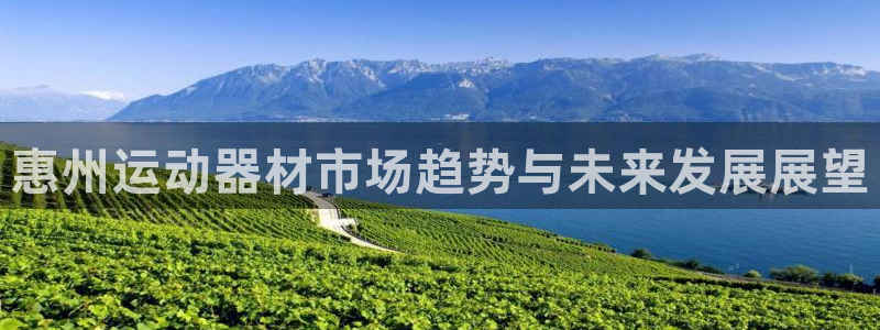 征途国际平台是正规平台吗知乎:惠州运动器材市场趋势与未来发展