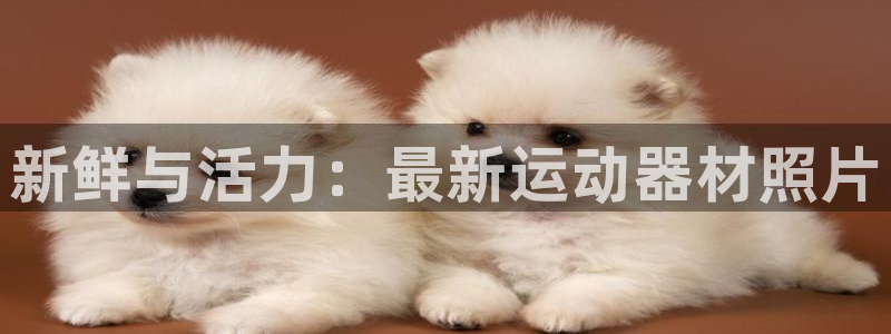 征途国际娱乐代理怎么样:新鲜与活力:最新运动器材照片