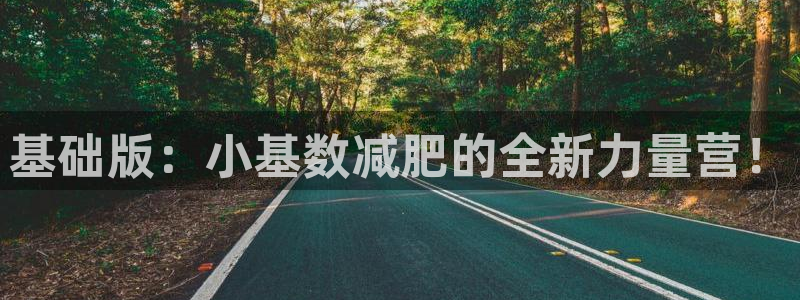 征途国际娱乐首页网站大全:基础版:小基数减肥的全新力量营!